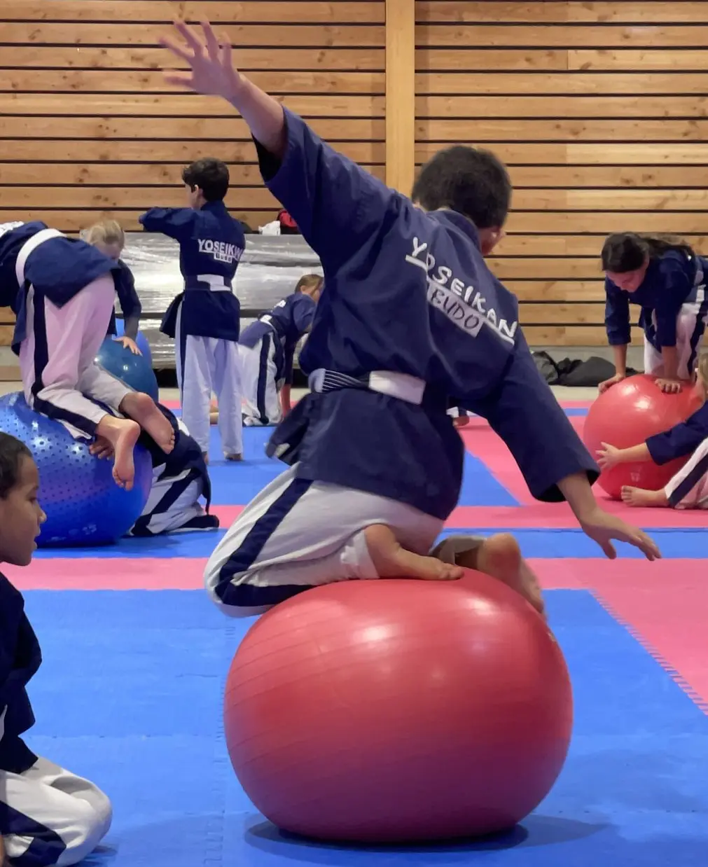 Cours de Yoseikan Budo dans un dojo du réseau AMETS