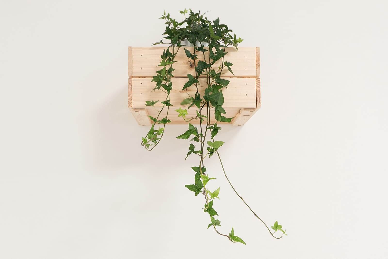 Aleske Viatge, professeur AMETS